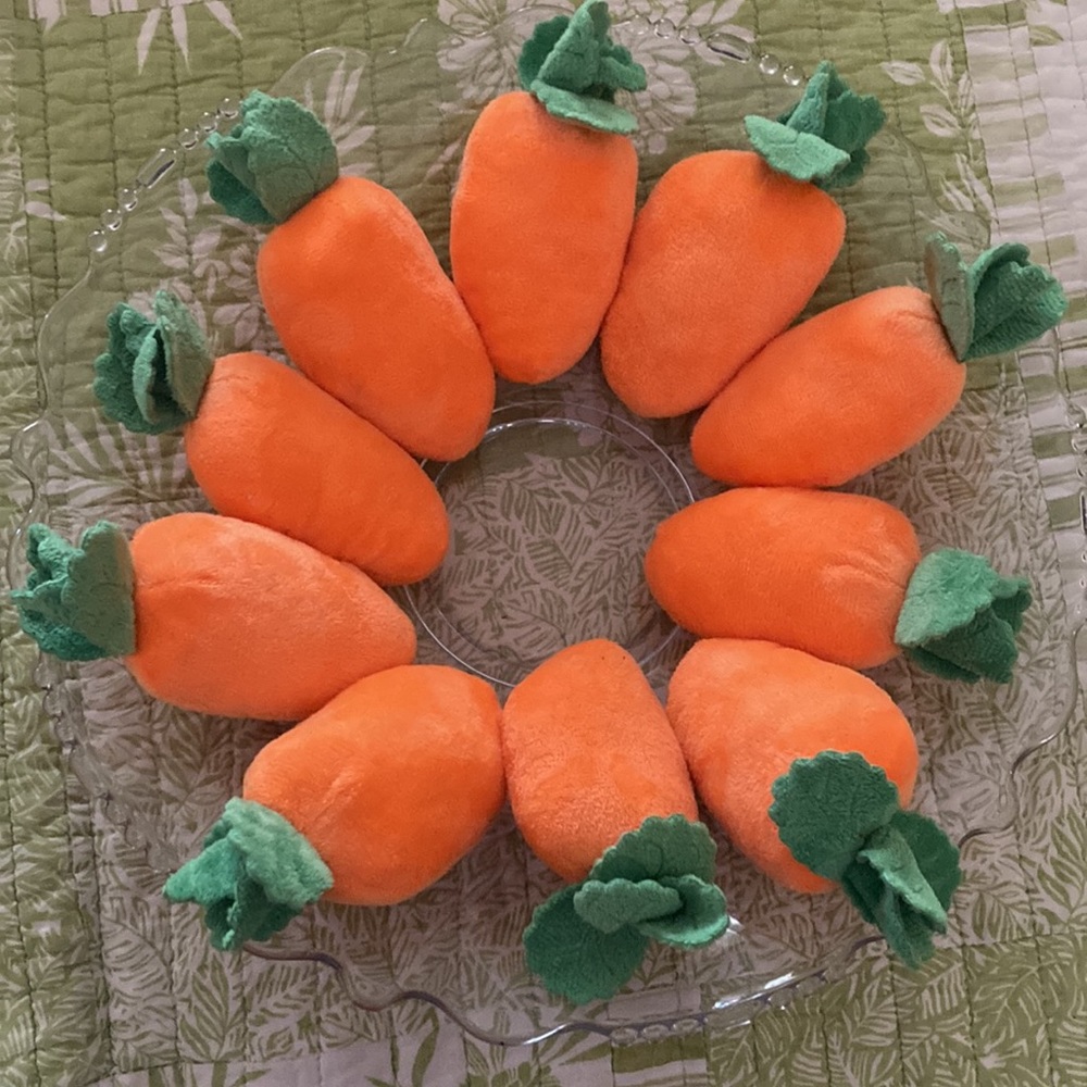 🆕 10 for $5 Counting on carrots 🥕!